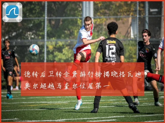 德转后卫转会费排行榜揭晓格瓦迪奥尔超越马奎尔位居第一