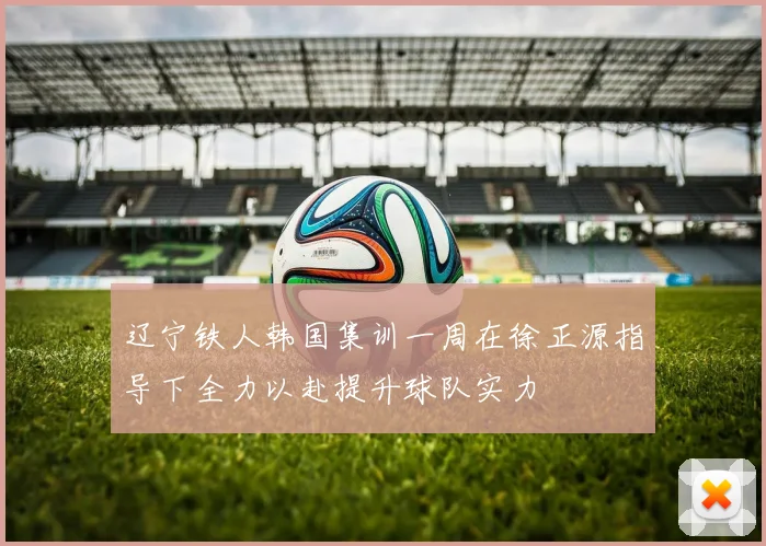 辽宁铁人韩国集训一周在徐正源指导下全力以赴提升球队实力